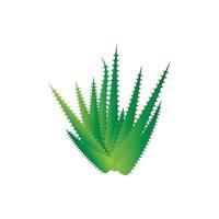 modello di illustrazione vettoriale logo aloe vera