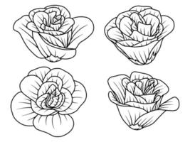 illustrazione di arte della linea di schizzo disegnato a mano del fiore vettore