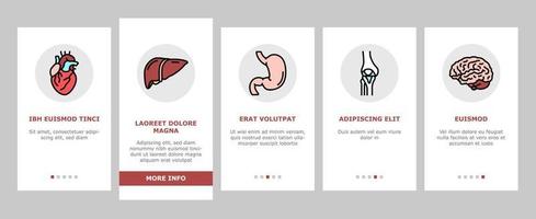 anatomia dell'organo interno umano icone di onboarding impostate il vettore