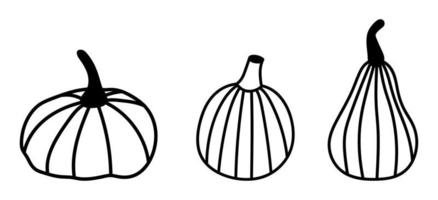 set di zucca doodle isolato. icone vettoriali, adesivi zucca disegnati a mano. illustrazione del raccolto autunnale, ringraziamento, halloween vettore