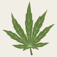 semplicità disegno a mano libera foglia di cannabis. vettore