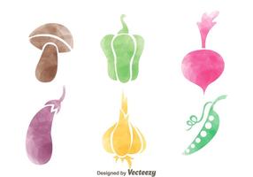 Icone di verdure colorate vettore
