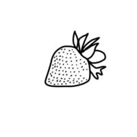 fragola frutta cibo sapore disegnato a mano linea organica doodle vettore