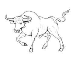 illustrazione disegnata a mano di vettore di un toro. illustrazione di arte linea in bianco e nero.