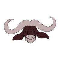 cartone animato testa di bufalo isolato. illustrazione vettoriale colorata di un toro con un tratto su sfondo bianco. specie bovine africane.