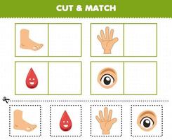 gioco educativo per bambini taglia e abbina la stessa immagine dell'anatomia umana dei cartoni animati e dell'occhio del sangue del dito del piede dell'organo vettore