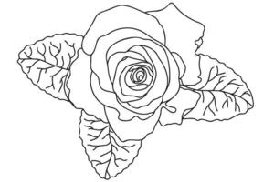 una singola rosa è disegnata con un contorno nero, è destinata al tatuaggio, alla stampa, alle carte, alla stampa su tessuto, all'8 marzo, al San Valentino, all'etichetta, al logo e ad altre occasioni. vettore