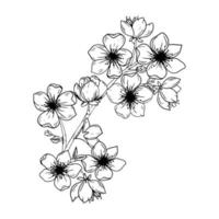 fiori di sakura, stile della linea di inchiostro disegnato a mano. carino doodle illustrazione vettoriale pianta di ciliegio, nero isolato su sfondo bianco.