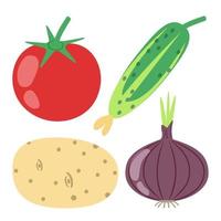 pomodoro, cetriolo, patate, cipolla - raccolta di verdure vettore