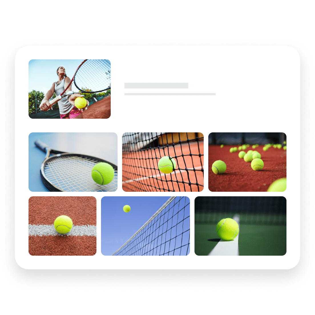 Free AI Reverse Image Search Vecteezy
