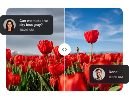 Tulip field before and after